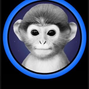 Meet your Posher, Nathan